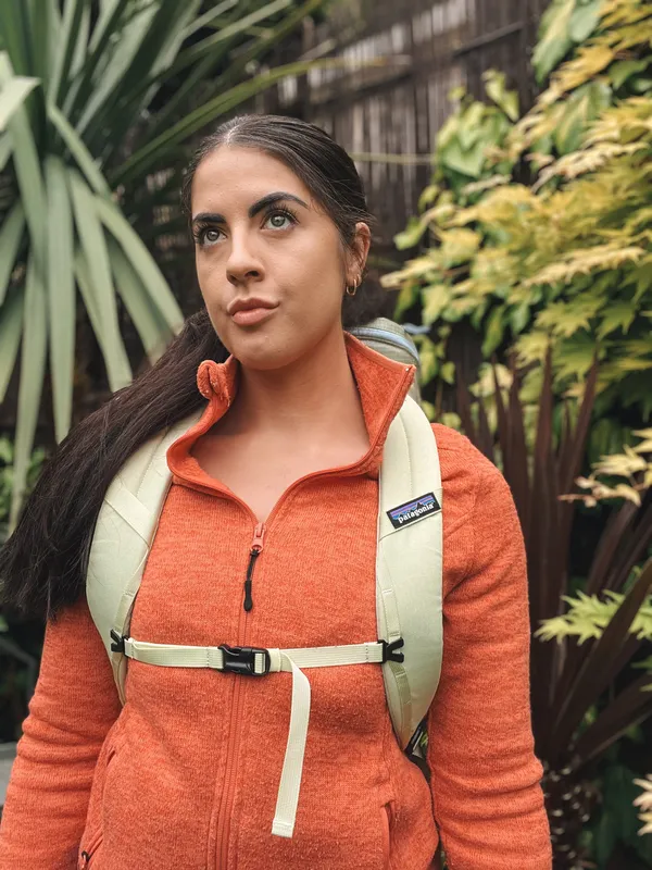 Patagonia Black Hole Pack 25L [InDepth 2023 Review!]